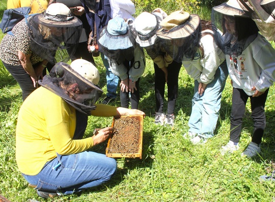 Le rucher de Potelières - une visite