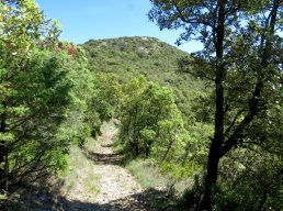 Randonnée pédestre - Les Cruzières, rochers et site archéologique de la Carabasse
