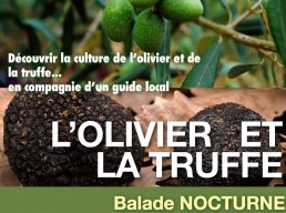 Balade Nocturne - L'olivier et la truffe