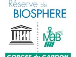 DÃ©couverte des rapaces de nos garrigues