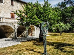 Barjac - Visites guidées autour de la Maison Bertrand