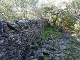 RANDONNÉE PÉDESTRE: Les remparts de Dieusse