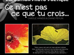 Exposition photo-poÃ©tique