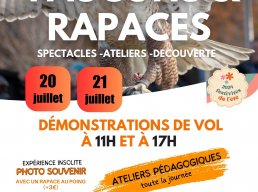 LES FESTIVITÃ‰S DE L'Ã‰TÃ‰ DE ST AMBROIX  PRÃ‰SENTENT :FAUCONS ET RAPACES