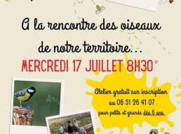 Ã  la rencontre des oiseaux de notre territoire