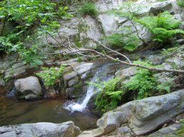 Des jardiniers Ecol'EAU