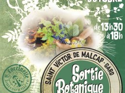 Sortie botanique et atelier avec La Coccinelle buissonnière