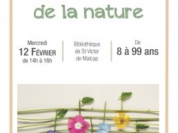 Parfums et sons de la nature