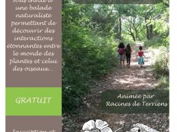 Balade naturaliste 