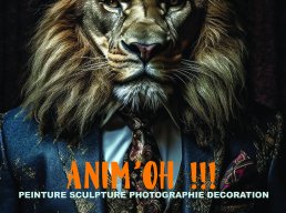 Les expos du k - anim'oh !!!