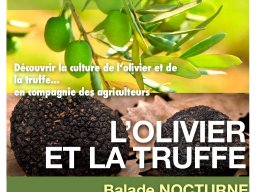 Les balades nocturnes - L'Olivier et la Truffe