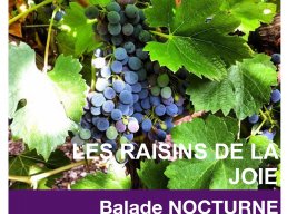Les balades nocturnes - Les Raisins de la Joie