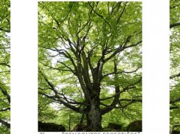 concours photo 