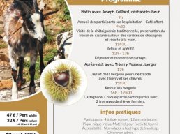 Journée immersive 