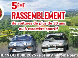 Rassemblement de voitures de plus de 30 ans