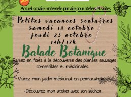 Balade botanique - octobre 2025