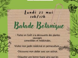 Balade botanique - Naturellement Cévenole