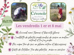 Venez découvrir le métier de Paysanne - Cueilleuse