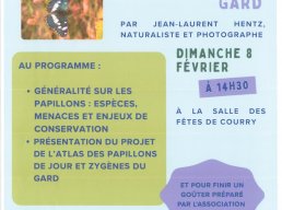 Atlas des papillons du Gard