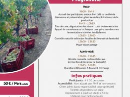 Journée immersive - Vigneron.ne