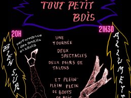 Concert - spectacle Faire feu de tout petit bois