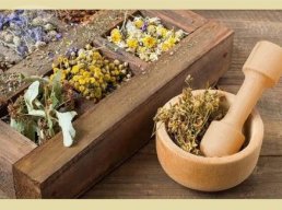 Les soins naturels d'hier à aujourd'hui