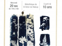 Cyanotype