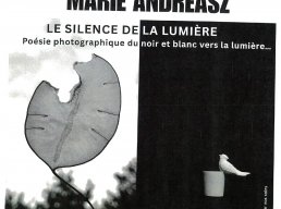 le silence de la lumière