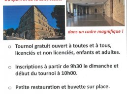 Tournoi de tennis de table