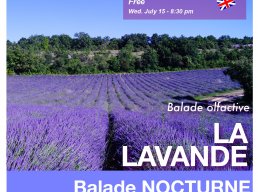 Les Lavandes 2026