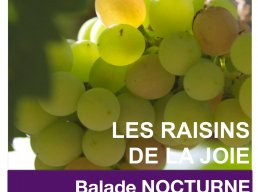 Les Raisins de la Joie  