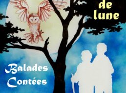 Les lundis au clair de la Lune - Chronique d'un été à Rochemerle , village cévenol pas si paisible que ça