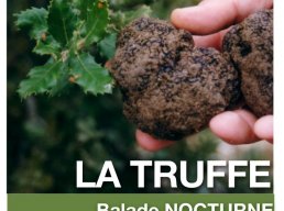 La Truffe - Balade nocturne