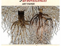 Elisabeth Beurret - en fôret arborescences Art paper