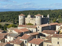 CHÂTEAU DES ROURE