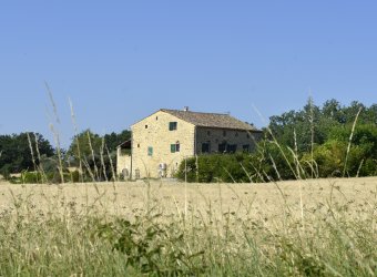 LA CHAZÉ