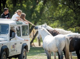 Camargue Autrement - safari 4x4