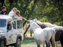 Camargue Autrement - safari 4x4