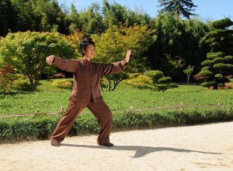 Taï Chi Qi Gong