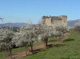 Château d'Aujac