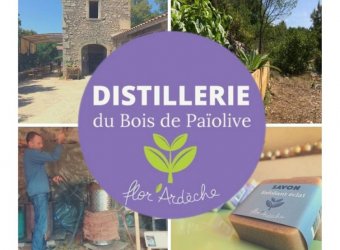 Distillerie du bois de Païolive 