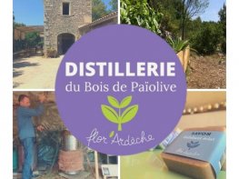 Distillerie du bois de Païolive 