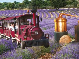 MAISON DE LA LAVANDE - LAVANDAIS EN PROVENCE