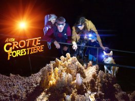 Grotte forestière - Visitez autrement