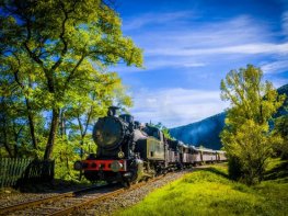 Train à vapeur des Cévennes