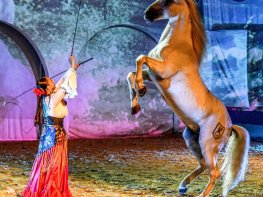 Cabarets Equestres de Camargue