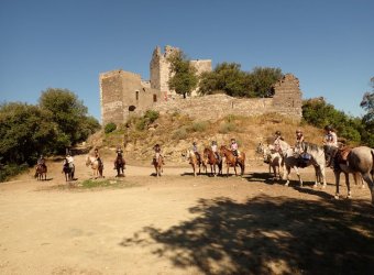 LES CHEVAUX DU CANTAURE