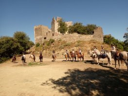 LES CHEVAUX DU CANTAURE