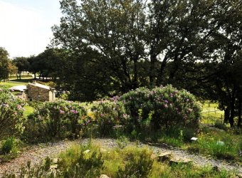 Arc'Avène - Jardins Ethnobotaniques