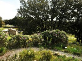 Arc'Avène - Jardins Ethnobotaniques